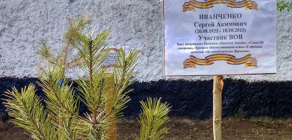 В Кировской исправительной колонии высадили деревья ко Дню Победы